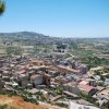 Burgio_2009 (598)
